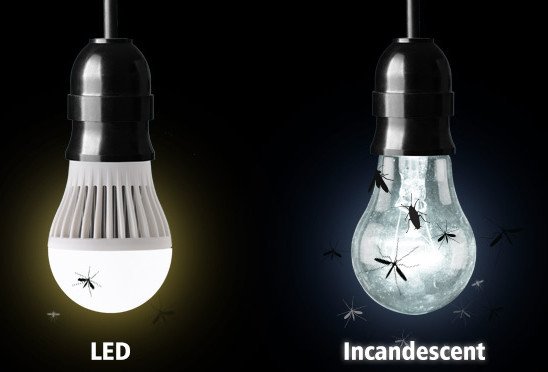 Led Lamp IP65